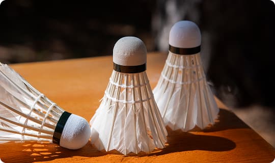 Badminton Training at GameFit Academy