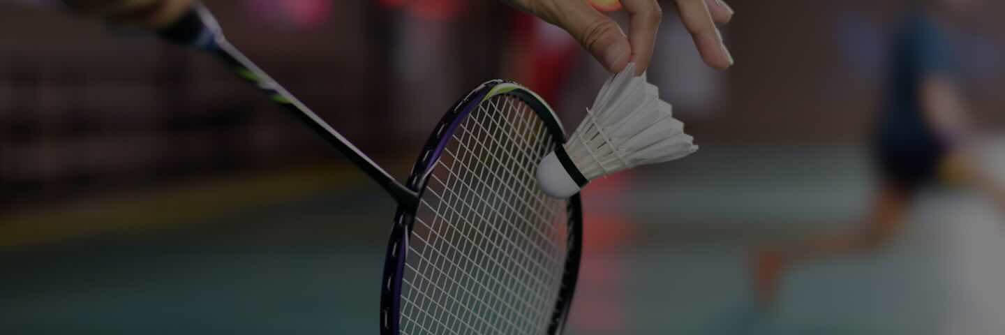 Badminton at GameFit