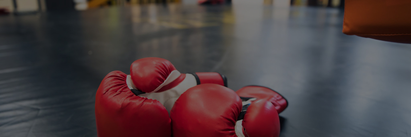 Boxing at GameFit