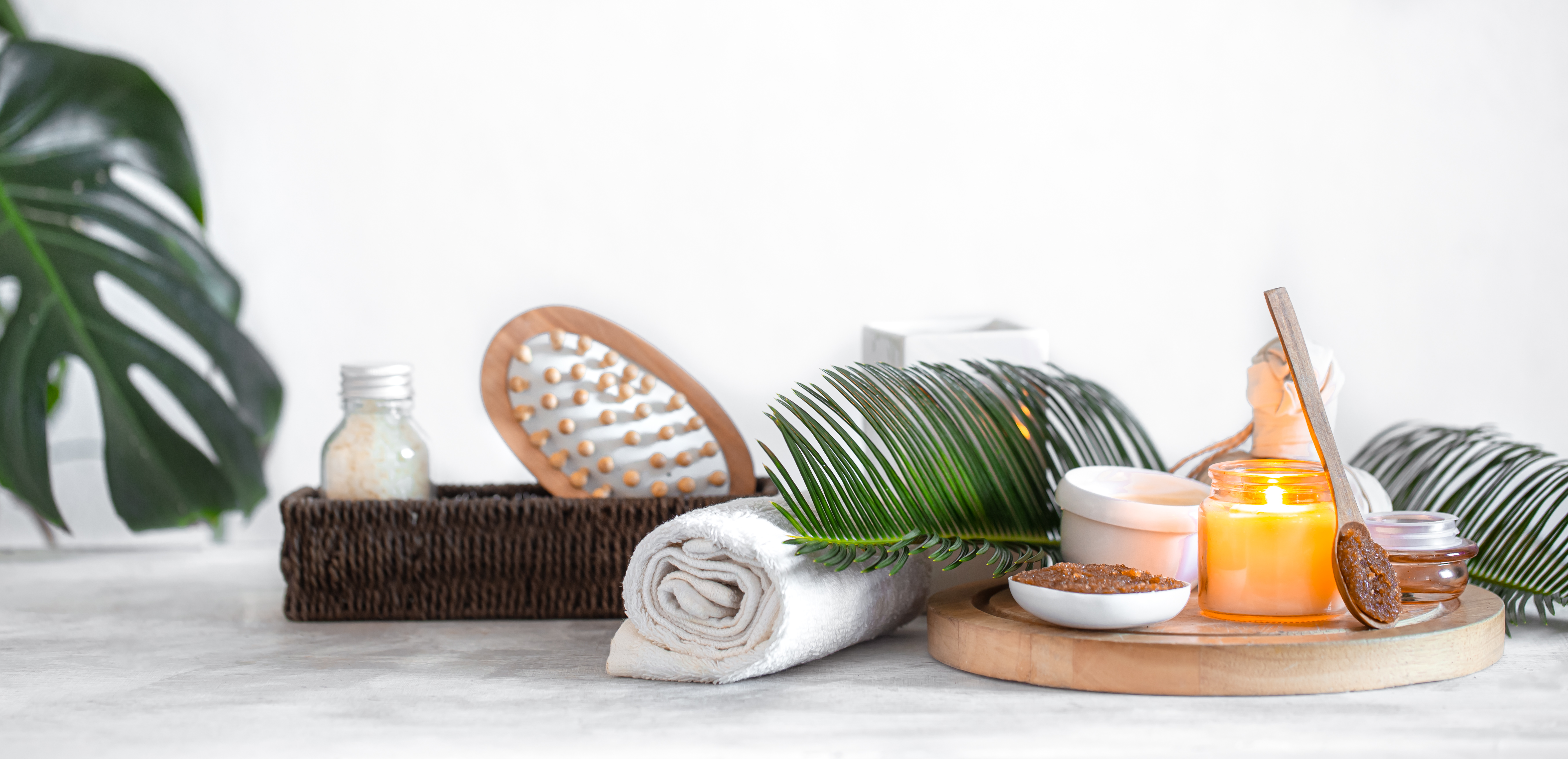 Spa Wellness Services